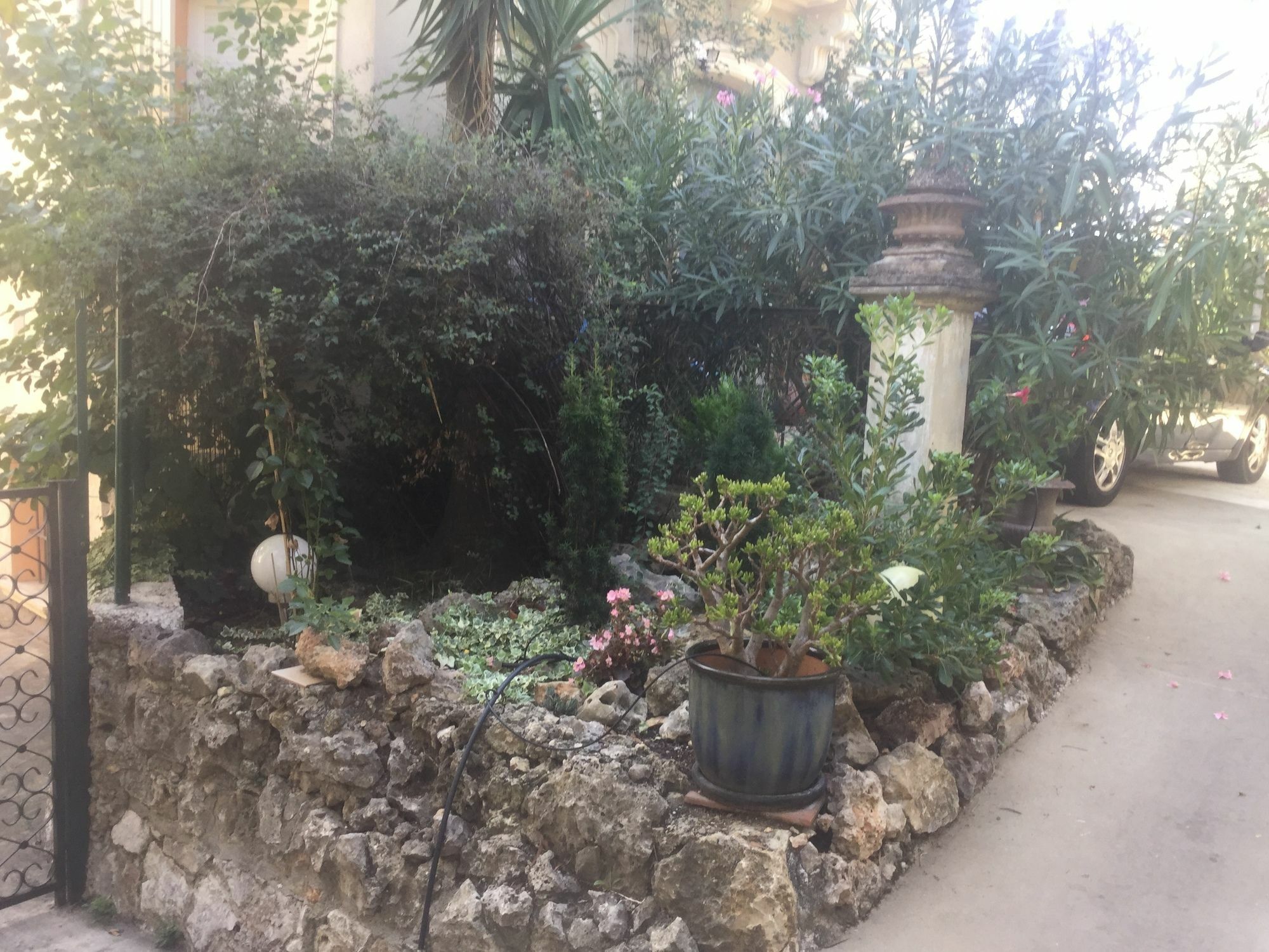 A L'Ombre Du Cedre Hotel Hyeres Luaran gambar