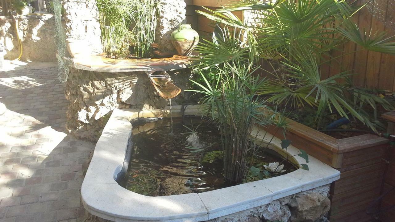 A L'Ombre Du Cedre Hotel Hyeres Luaran gambar